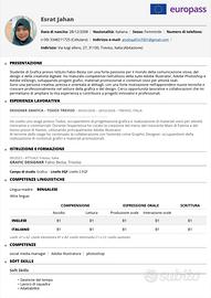 Graphic designer