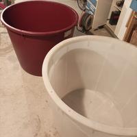 Tini Mastelloni mosto