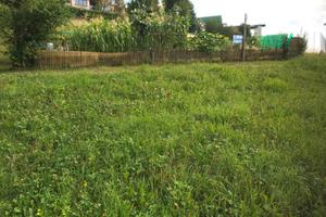 Terreno prato verde di 1400 mq