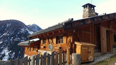 Baita "Maso Gallo Cedrone"