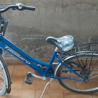 bicicletta donna