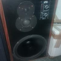 Casse altoparlanti 100 LX