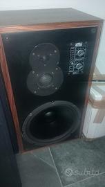 Casse altoparlanti 100 LX