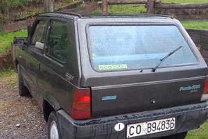 panda 