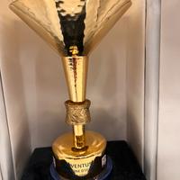 Coppa Juventus campionato 2014/2015