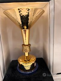 Coppa Juventus campionato 2014/2015