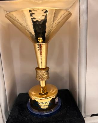 Coppa Juventus campionato 2014/2015