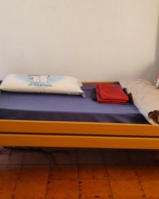 Letto elettrico da degenza WIMED - doghe in LEGNO