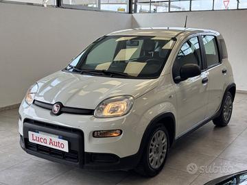 FIAT Panda 1.0 FireFly S&S Hybrid *UNICO PROP.*5
