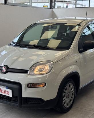 FIAT Panda 1.0 FireFly S&S Hybrid *UNICO PROP.*5