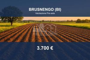 Immobile in asta di 10600 m² a Brusnengo