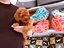 Immagine 29
