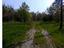 Immagine 12