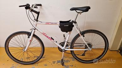 bicicletta da uomo 