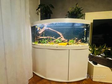 Acquario