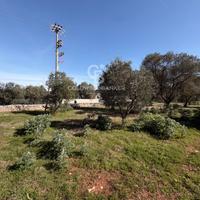 Terreno agricolo - Ostuni