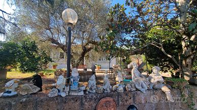 Casa unifamiliare circondata con 7000 mq giardino