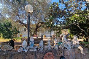 Casa unifamiliare circondata con 7000 mq giardino