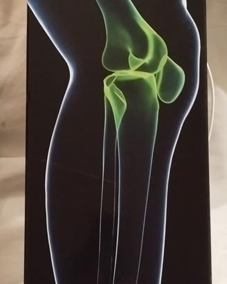 Tutore di ginocchio nuovo GIBAUD 