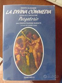 DIVINA COMMEDIA DI ALIGHIERI PARADISO E PURGATORIO