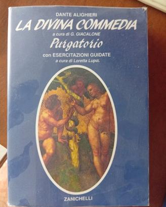 DIVINA COMMEDIA DI ALIGHIERI PARADISO E PURGATORIO