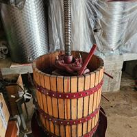 Torchio a leva da 55