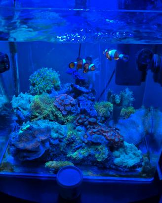 Acquario piu tavolo