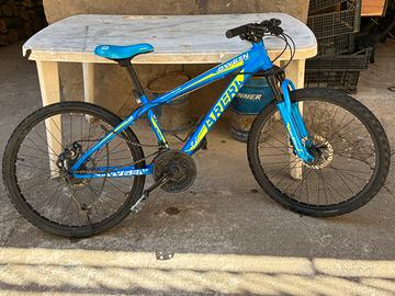 Bici 24