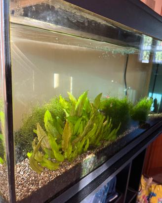 Acquario 180 litri