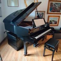 Pianoforte Rosenbach DG-2 1/4 coda