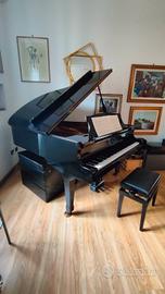 Pianoforte Rosenbach DG-2 1/4 coda