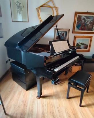 Pianoforte Rosenbach DG-2 1/4 coda