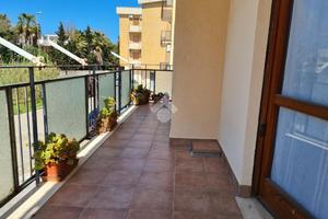 4 LOCALI A GALLIPOLI