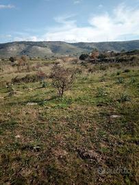 Terreno - Carlentini