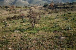 Terreno - Carlentini