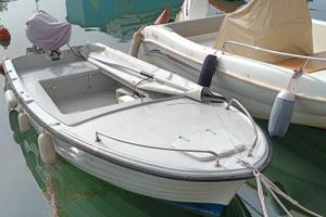 Barca a motore m. 450