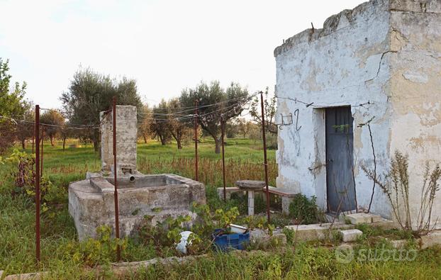 Terreno agricolo di 10 are a Torre Paduli