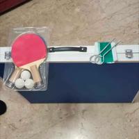 Tavolo da ping pong portatile
