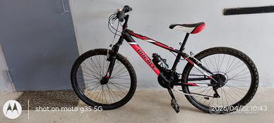 Bicicletta Ducale
