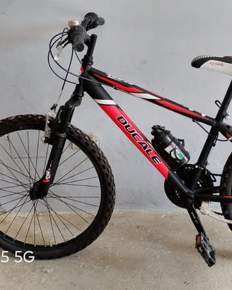 Bicicletta Ducale