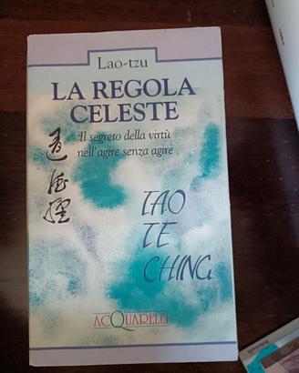 La regola celeste