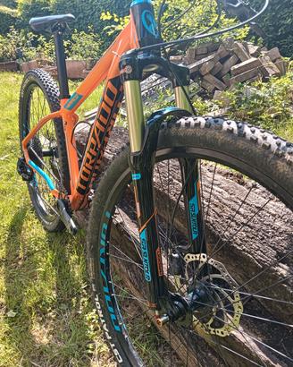 MTB 29 Torpado Nearco