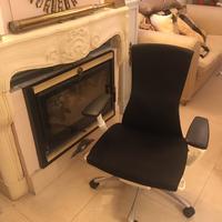 Herman Miller Embody