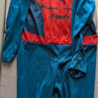 costume spiderman 