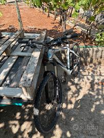 Mountain bike