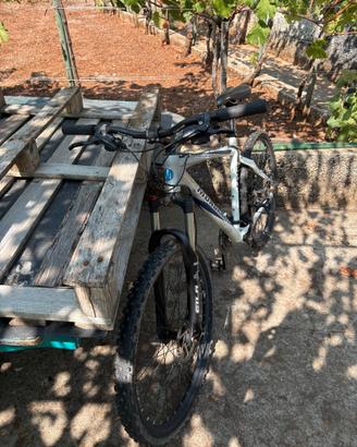 Mountain bike