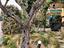 Immagine 26