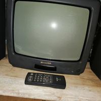 TV con tubo catodico per retrogame