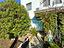 Immagine 29