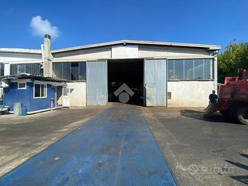 CAPANNONE A REGGIO NELL'EMILIA